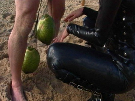 Syrens Web  Part 4 - Mia has her ****** webbed in sheets of black plastic and with heavy green coconuts tied to his cock and balls. Mia hugs him tight and uses her body to shake him as her stands trapped in her web so that the coconuts sway violently tugging and pulling at his cock and balls. She produced two nasty alligator clamps with jagged teeth and she uses to bite into his nipples. Again she presses her body to his causing the nipple clamps to bite deeper into his flesh and his testicle weights to sway. She grinds her rubber covered ass into his torment cock. She removes the nipple clamps and replaces them with her wet lips, tongue and then a hard bite with her teeth. She drops before him and really pushes the coconuts hard to that they really pull on his sex and then she clings to his body so she can feed off the transfer of all his shuddering ecstasy.